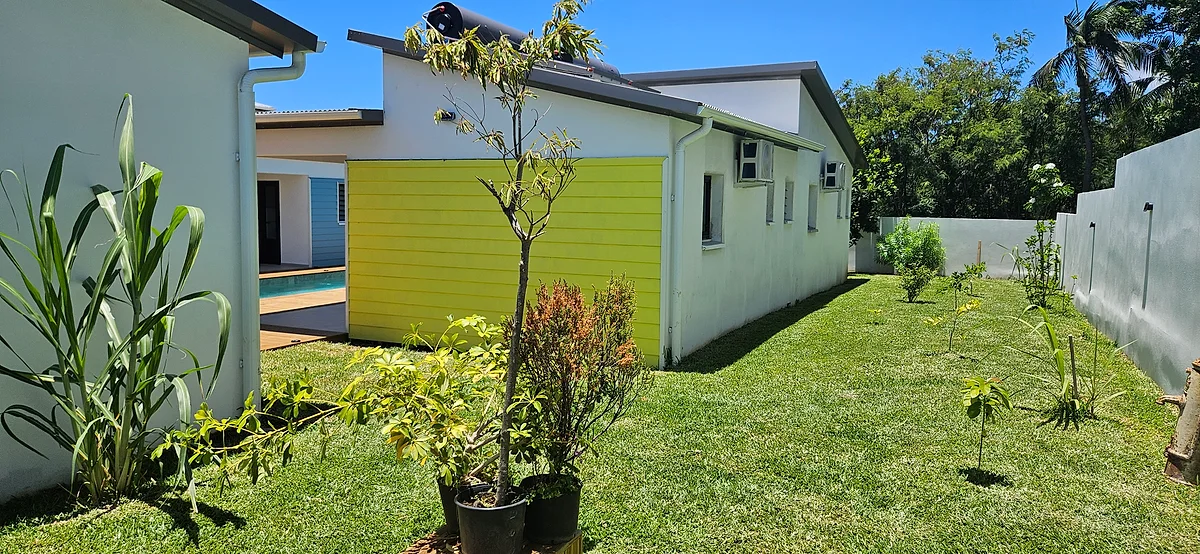 Le jardin entre les suites, avec ses jeunes arbres